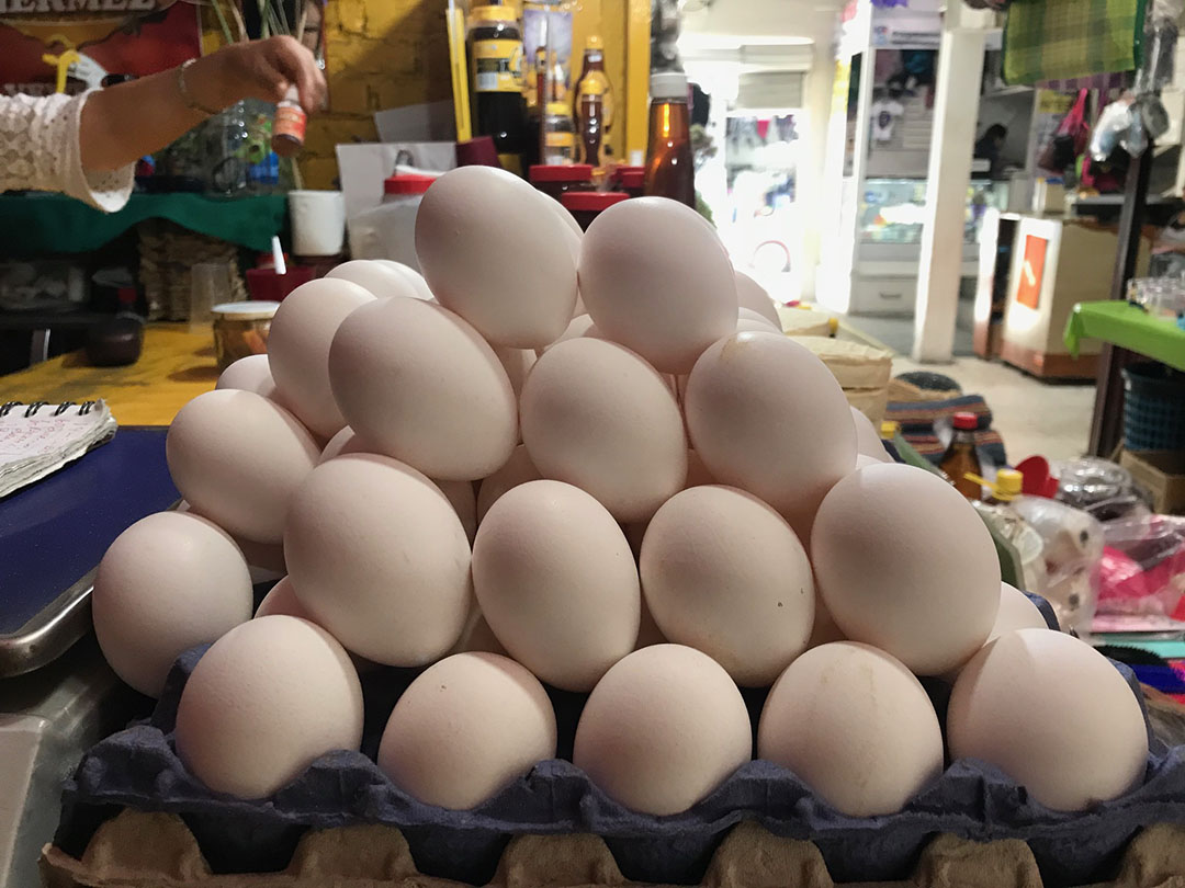En un año, el precio del huevo subió 40 en México Profeco Diario La